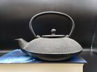 vintage Black Small Dot Hobnail Japanese Cast Iron Teapot Tea Kettle