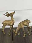 Vintage Brass Deer Buck Doe Spotted MCM Regal