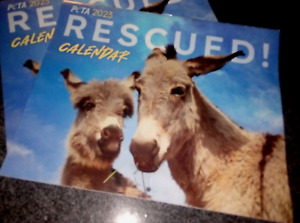 PETA Rescued 2023 Calendar: Cats, Dogs, Donkeys…NEW