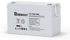 NEW Renogy Deep Cycle AGM 12 Volt 100Ah Battery, 3% Self-Discharge Rate, 1100A M