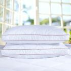 2 Pack Goose Down Feather Bed Pillows 2