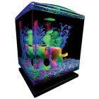 Betta Glass Aquarium Kit 1.5 Gallons, Easy Setup and Maintenance