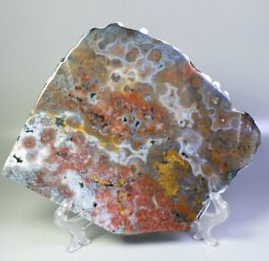 Best Natural Polished Ocean Jasper Agate Crystal Slice Reiki Stone Healing Stand