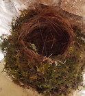 Authentic 2024 Ct. Bird's Nest Craft Taxidermy Abandoned Before Eggs
