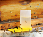 The Beehive Entrance Feeder Honeybee Water Feeder Bee Drinking