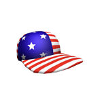 Roblox Series 2 American Baseball Cap Code Sent Messages. Hard To Find New