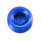 Redhorse 932-06-1 3/8 NPT Pair of Pipe Plug, Blue Anodized