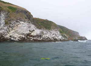 Photo 12x8 Cliffs by the North Sutor Nigg Ferry Cliffs and rocks by the No c2013