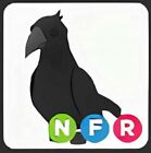 Adopt A Pet from Me - Neon Fly Ride Crow - *SAME DAY DELIVERY*