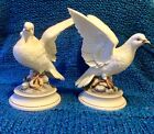 New ListingVintage Pair of White Doves by Andrea By Sadek Hand Painted Porcelain 9