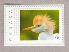 BEAUTIFUL BIRD = Picture Postage Stamp MNH-VF Canada 2016 [p16/02-2bd4/3]
