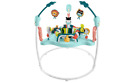 NEW Fisher-Price Baby Bouncer Colorful Corners Jumperoo Activity Center