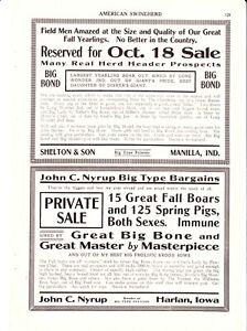 1918 American Swineherd Hog Sales  Manilla & Williamsburg IN Harlan & Webster IA