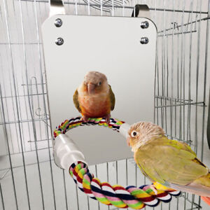 Stainless Steel Bird Mirror Toy with Rope Perch Standing Bar Parrot Parakeet Toy