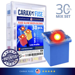 CARAX Glow Fuse CARTRIDGE Low Profile Female MINI FMX Mix Kit 30 pcs Glow Blown