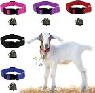 5 Pack Goat Collar with Bell, Sheep Grazing Copper 5