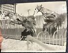 press photo DOG TRACK greyhound HURDLE racing 1942
