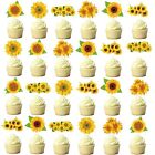 48 Pcs Sunflower Cupcake Toppers for Sunflower Birthday Party Decorations Suppli