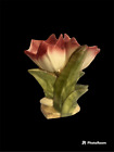 McCoy tulip double planter