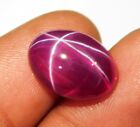 13-14 Cts. Natural Certified Transparent Star Ruby Oval Cabochon 6 Rays h83