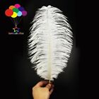 10 pcs 35-40cm/14-16inch Wedding Ostrich Feathers Crafts White Large DIY Plume
