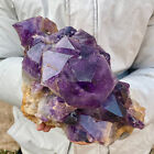 11LB  Natural backbone amethyst quartz crystal mineral specimen