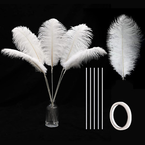 White Ostrich Feathers Bulk - 20Pcs Making Kit 22 Inch Large Ostrich Feathers fo