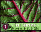 400+ Swiss Chard Seeds [Red Ruby] Vegetable Gardening, Heirloom, Non-GMO, USA