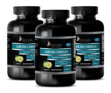 100% Pure GARCINIA CAMBOGIA EXTRACT 1300mg Fat Burner Weight Loss Diet Pills -3B