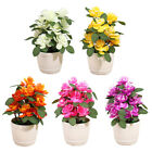 Artificial Plants Bonsai Fake Flowers Pot Plant Potted Home Ornaments Decor NEW