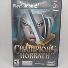 Champions of Norrath PS2 Sony PlayStation 2 CASE AND MANUAL ONLY no game disc