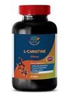 energy supplement preworkout - L-Carnitine 1B - carnitine healthy sports