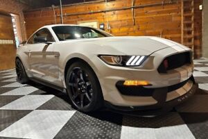 2017 Ford Mustang Shelby GT350R 2dr Fastback