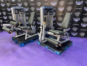 Precor Discovery Leg Extension & Leg Curl Matching Pair – Current & Latest Model