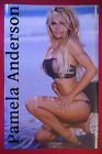 Pamela Anderson Swimsuit Exotic Model Sexy Beach Picture Poster 24X36   PASW