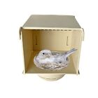 External Plastic Bird Nest for canary, finch, exotic birds and small birds
