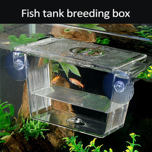 S/L Aquarium Hatchery Trap Fish Breeding Box Tank Fry Breeder Isolation Case-