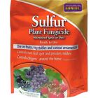 Bonide 142 4 lb Sulfur Organic Plant Fungicide Dust or Spray - Quantity 1