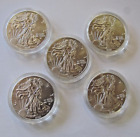 Lot of Five 2024~ 1 oz American Silver Eagle .999 Uncir. BU Coins in Plast.Case