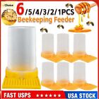 New Listing5pcs Honeycomb Bee Feeder Plastic Honey Bee Nest Door Feeding Drinking Water Box