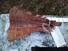 Wild Alligator Gator Belly Tail Leather Scrap piece crafter craft insert MY24