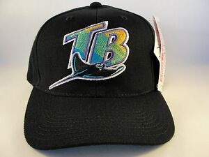 MLB Tampa Bay Devil Rays Vintage Snapback Hat Cap American Needle
