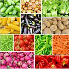 #10 Heirloom Vegetable Seeds 6 Variety Garden Set Emergency Survival NON-GMO