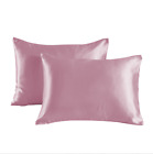 Blowout sale-Luxurious Mulberry Silk Pillowcase-19 Momme-silk both sides/Single