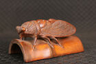 Chinese rare boxwood hand carved cicada Figure statue netsuke collectable art