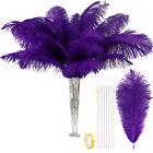 Large Ostrich Feathers Bulk-Making Kit 10Pcs 28