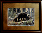 BKACK BEAR AND CUBS PICTURE WOODLAND LESSIONS TERRY DOUGHTY MATTED FRAMED 16X12