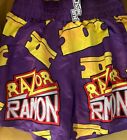 WWE Chalk-Line Razor Ramon Scott Hall Purple Satin Arena Shorts Medium chalkline
