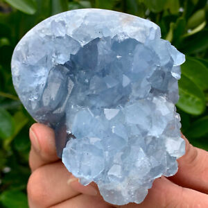 1.19LB Natural Blue Celestite heart Geode QuartzCrystal Mineral Specimen Healing