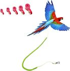 Parrot Bird Harness Leash Stretchable to 20